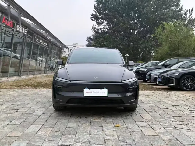 Tesla Model Y — Фото автомобиля 2