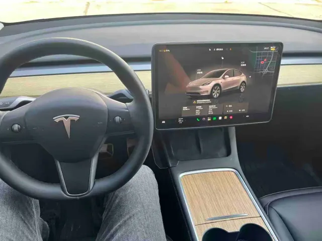 Tesla Model Y — Фото автомобиля 9