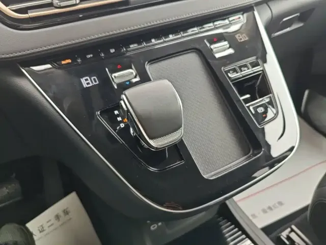 Hongqi Hongqi HQ9 PHEV 2024 Model 2.0T AWD Business Edition — Фото автомобиля 13