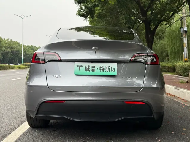 Tesla Model Y — Фото автомобиля 4