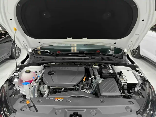Geely Emgrand — Фото автомобиля 14