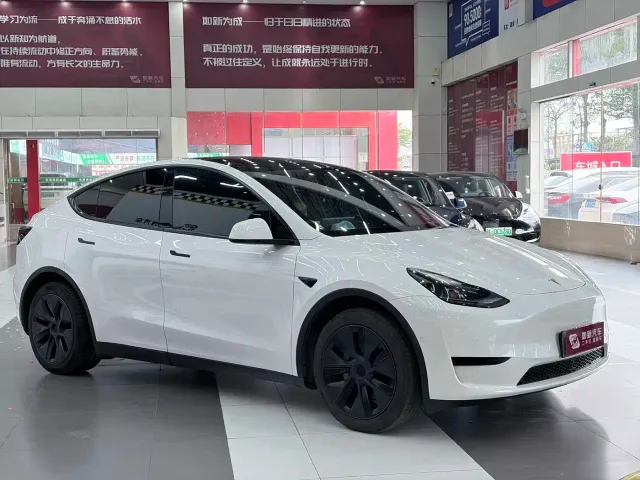 Tesla Model Y — Фото автомобиля 3