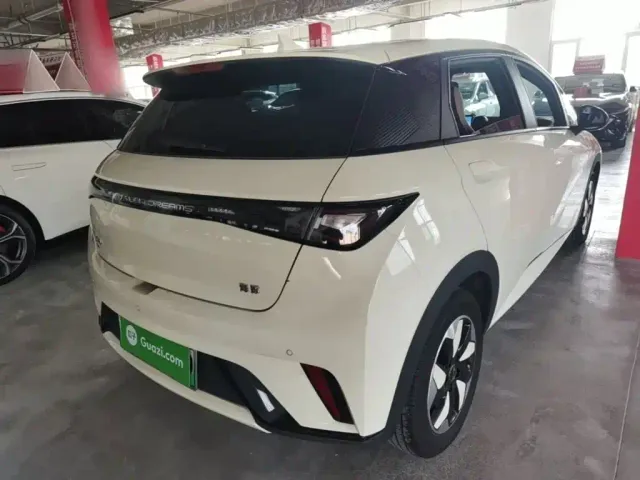 BYD Dolphin — Фото автомобиля 6