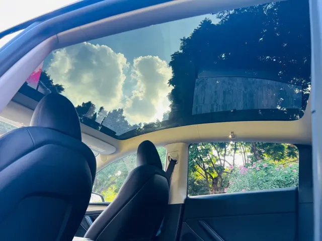 Tesla Model Y — Фото автомобиля 23