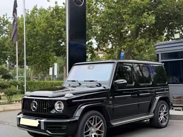 Mercedes-Benz G-Class AMG — Фото автомобиля 9