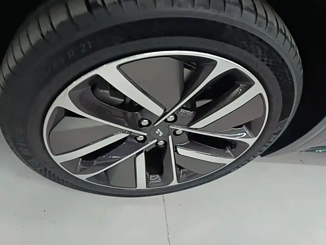 Li Auto L9 — Фото автомобиля 22
