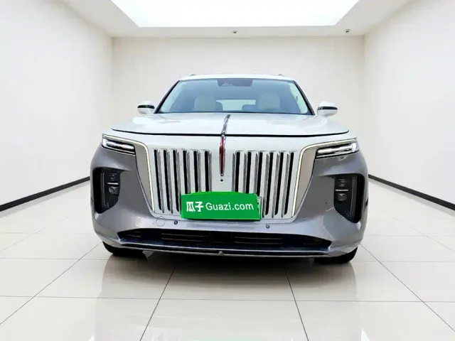 Hongqi Hongqi E-HS9 2022 660km Qi Ling Edition (4-seater) — Фото автомобиля 2
