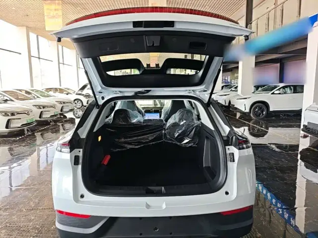 Dongfeng SKY EV01 — Фото автомобиля 14