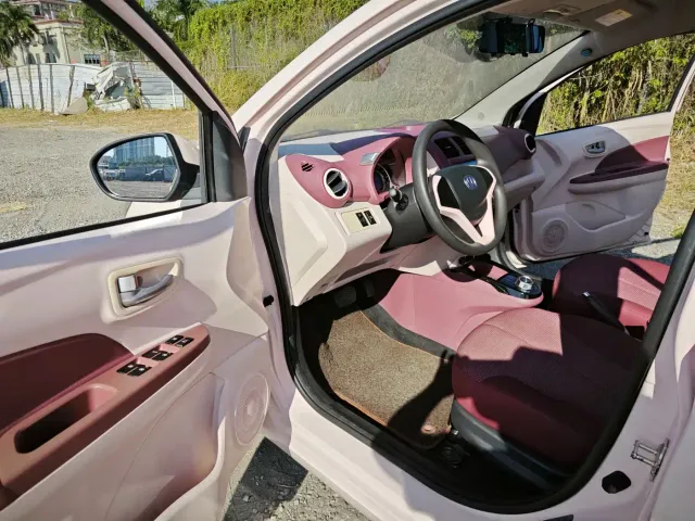 Changan Benben E-Star — Фото автомобиля 8