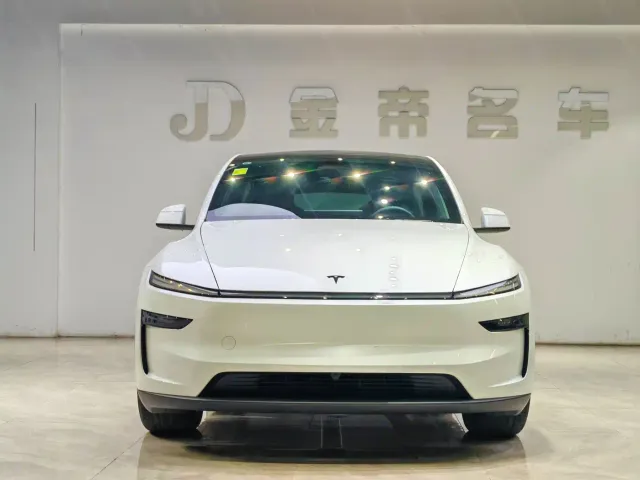 Tesla Model Y — Фото автомобиля 2