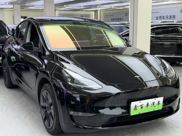 Tesla Model Y — Фото автомобиля 3