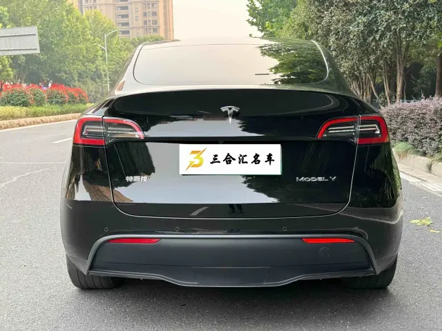 Tesla Model Y — Фото автомобиля 9