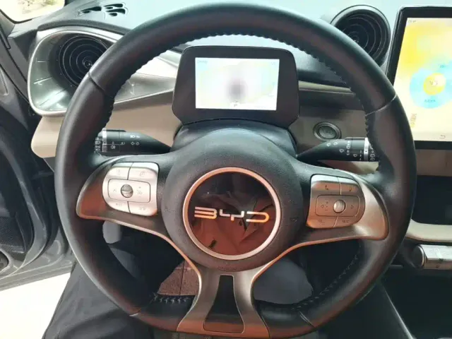 BYD Dolphin — Фото автомобиля 10