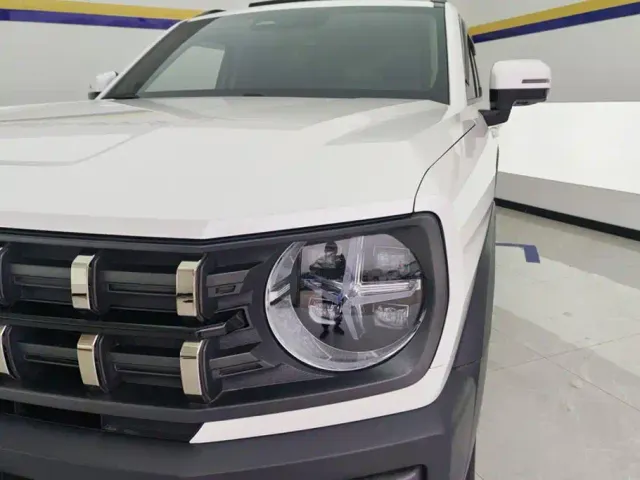 Haval Cool Dog — Фото автомобиля 5