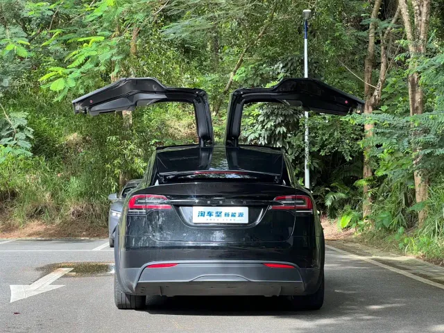 Tesla Model X — Фото автомобиля 5