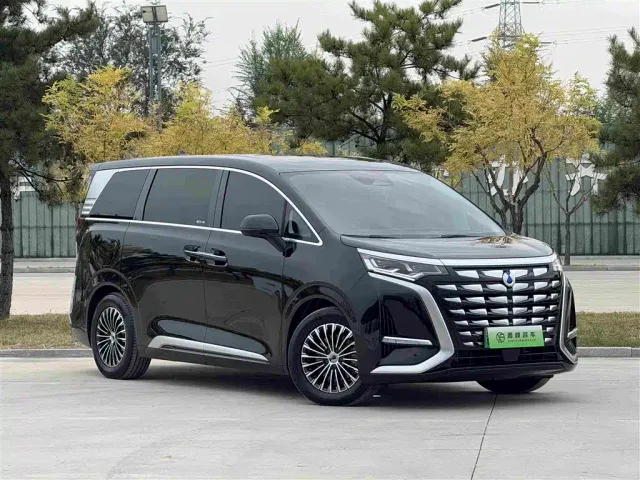 Denza D9 — Фото автомобиля 3