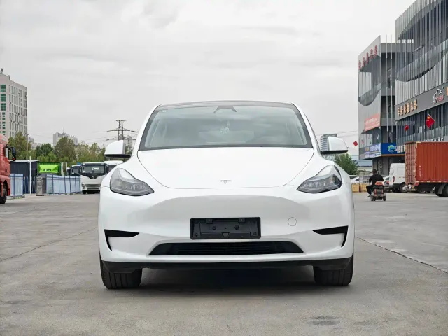 Tesla Model Y — Фото автомобиля 2