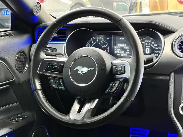 Ford Mustang — Фото автомобиля 17