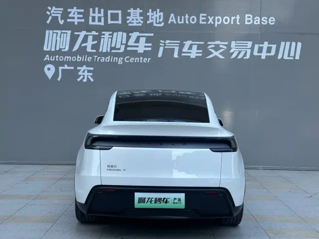 Tesla Model Y — Фото автомобиля 4