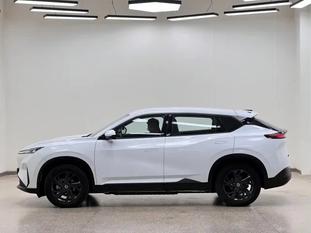 Dongfeng SKY EV01 — Фото автомобиля 7