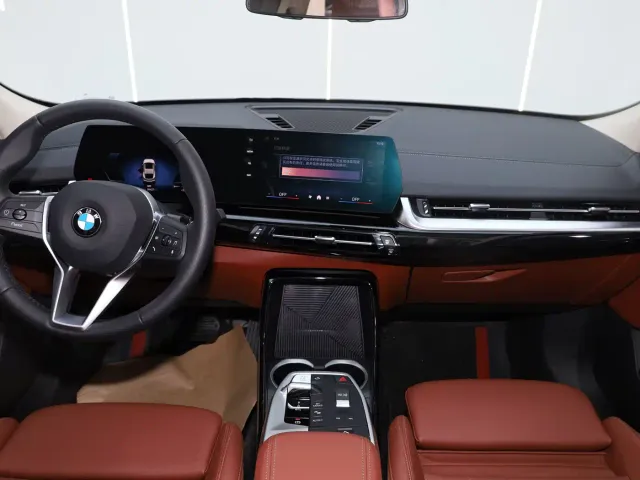 BMW X2 — Фото автомобиля 14