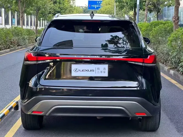 Lexus RX — Фото автомобиля 8