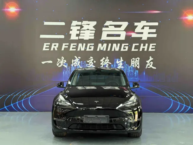 Tesla Model Y — Фото автомобиля 2
