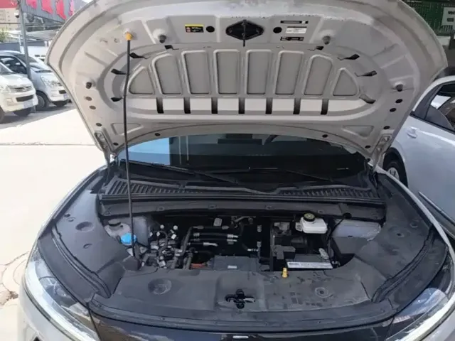 BYD Yuan UP 2024 401KM Leading Edition — Фото автомобиля 19