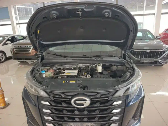 GAC Trumpchi M6 — Фото автомобиля 19