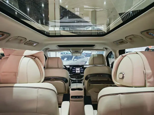Denza D9 — Фото автомобиля 17