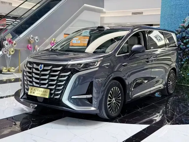 Фотография автомобиля — Denza D9
