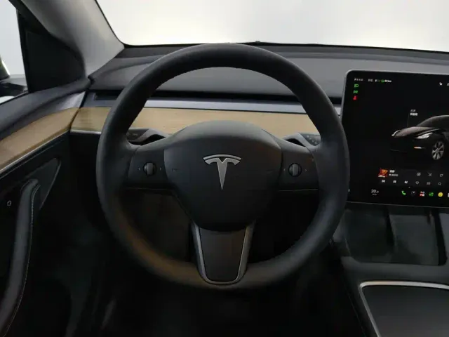 Tesla Model Y — Фото автомобиля 11