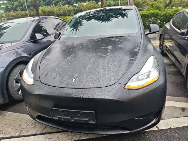 Tesla Model Y — Фото автомобиля 2