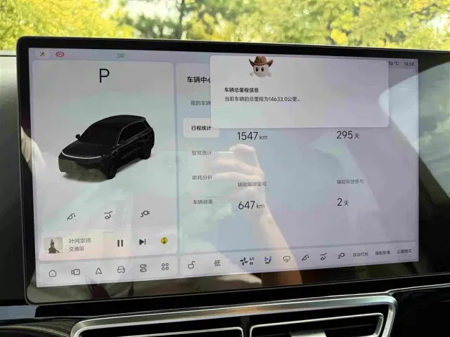 Li Auto L8 — Фото автомобиля 7