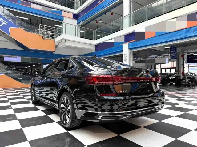 Volkswagen Passat — Фото автомобиля 19