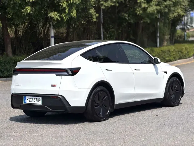 Tesla Model Y — Фото автомобиля 6