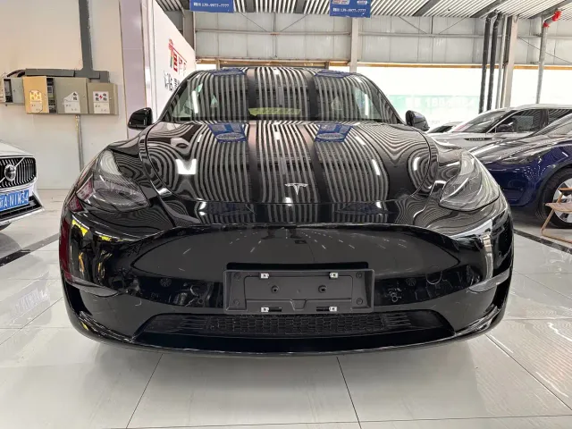 Tesla Model Y — Фото автомобиля 2