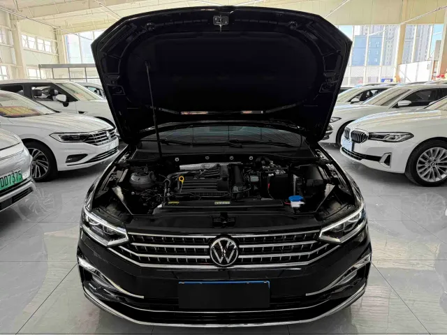 Volkswagen Magotan — Фото автомобиля 20