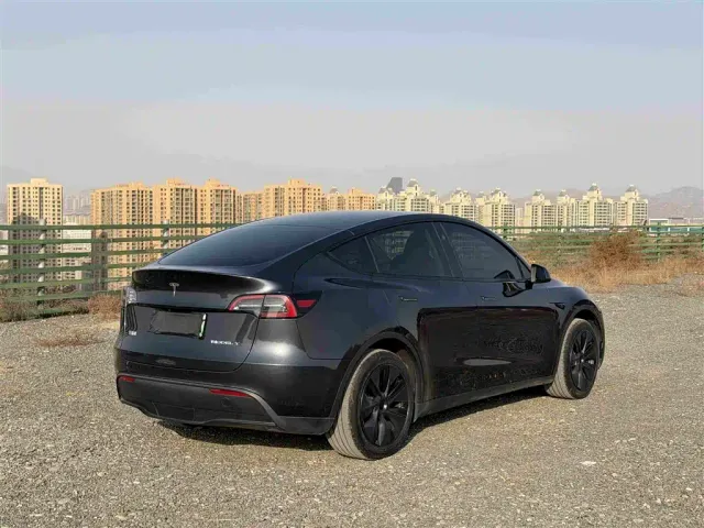 Tesla Model Y — Фото автомобиля 4