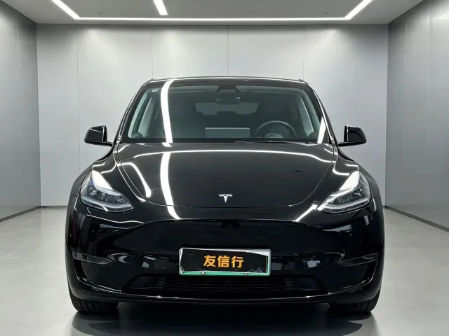 Tesla Model Y — Фото автомобиля 2