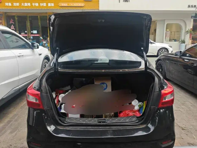 Nissan Sylphy — Фото автомобиля 4