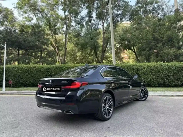 BMW 5 Series — Фото автомобиля 5