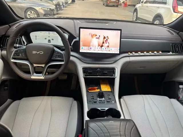 BYD Song PLUS — Фото автомобиля 8