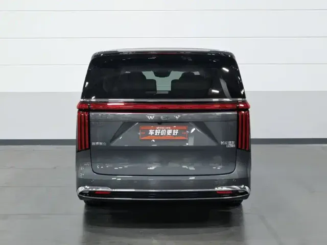 Wey Alpine — Фото автомобиля 4