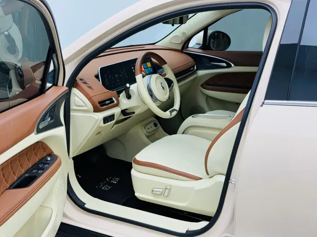 Ora Ora Good Cat 2023 401km Standard Range Luxury LFP — Фото автомобиля 12