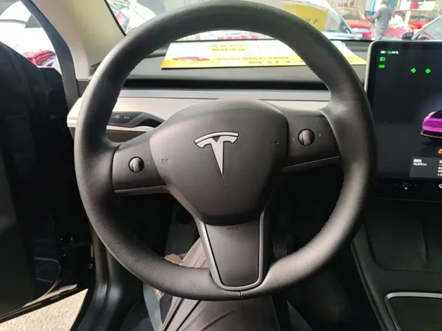 Tesla Model Y — Фото автомобиля 10