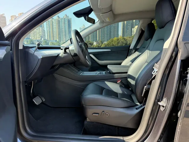 Tesla Model Y — Фото автомобиля 10