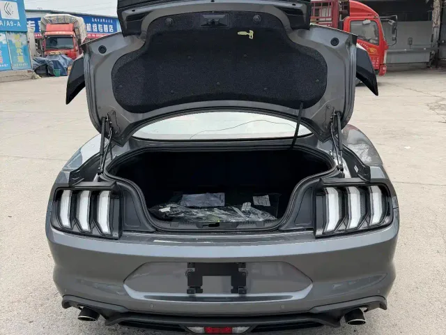 Ford Mustang — Фото автомобиля 17