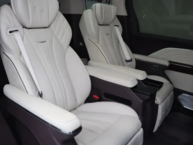 Hongqi Hongqi HQ9 2023 2.0T Smart Connect Flagship — Фото автомобиля 13