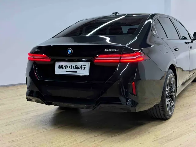 BMW 5 Series — Фото автомобиля 30